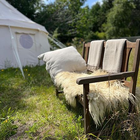 Glamping Pa Amager 호텔 드라고 외부 사진