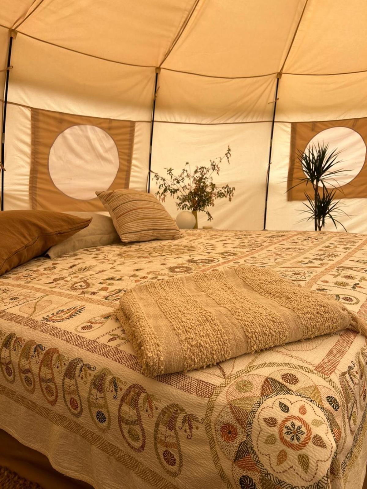 Glamping Pa Amager 호텔 드라고 외부 사진