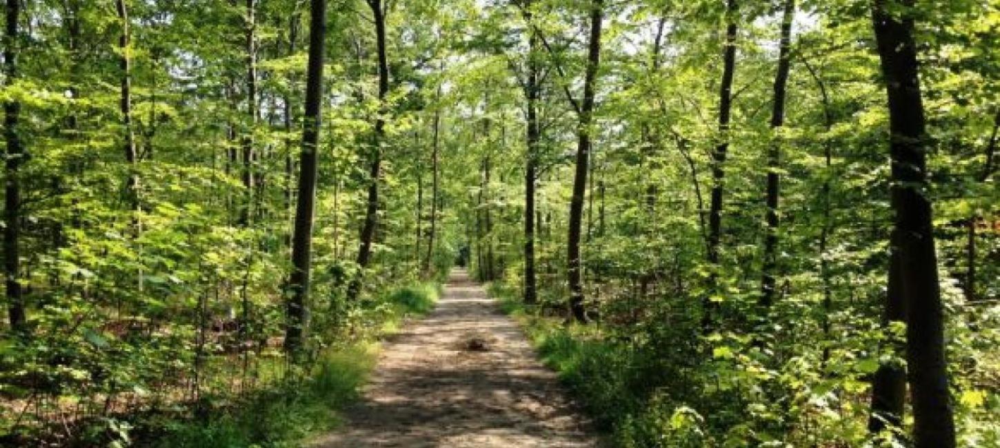 Glamping Pa Amager 호텔 드라고 외부 사진